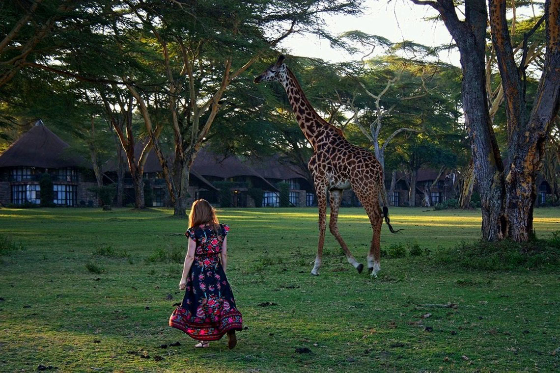 национальный парк Кении Маасаи Мара