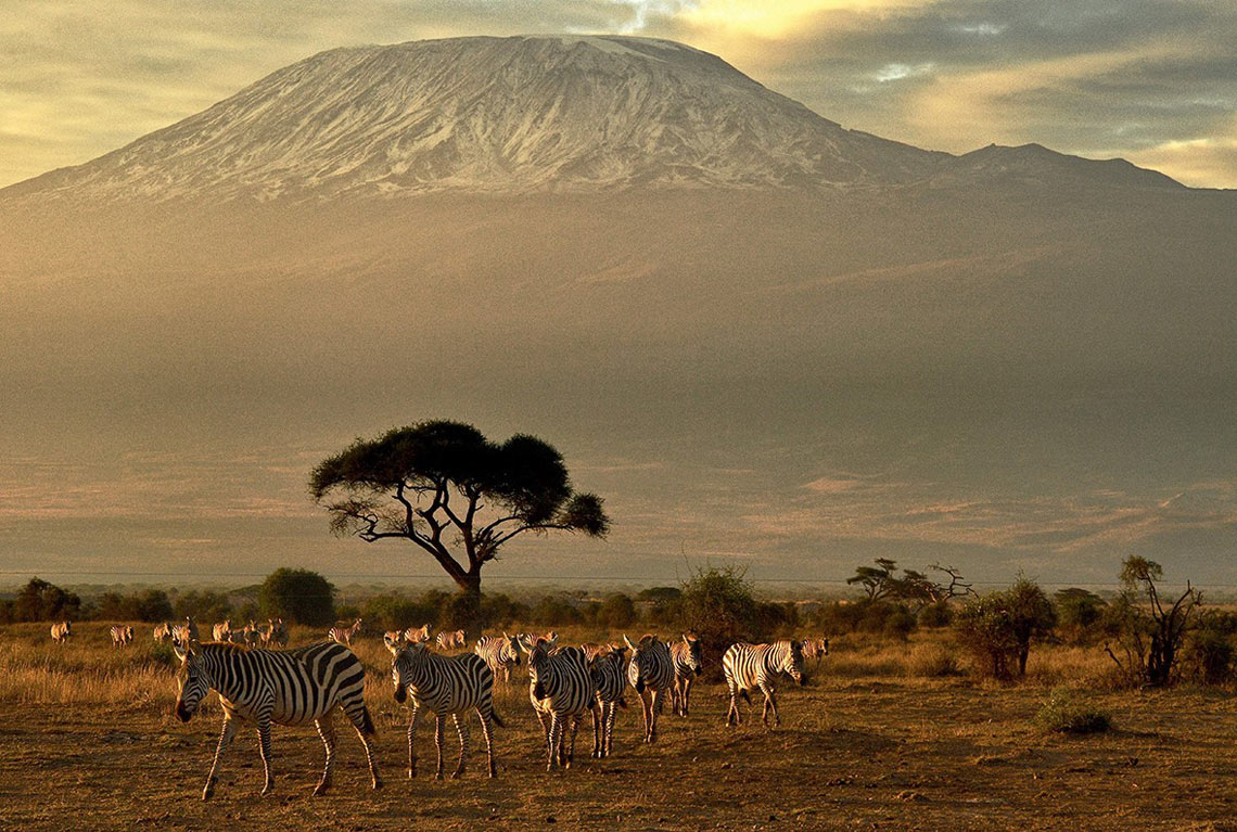 Под крышей Африки – парк Амбосели и Килиманджаро