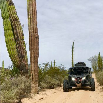 Квадро-экспедиция «Легендарная Баха 1000» на X-3  (Мексика)