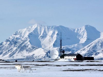 Мальчишник в Арктике (724)